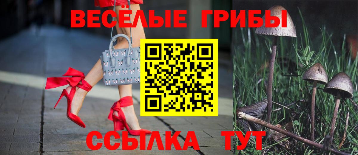 Киселёвск  Псилоцибиновые грибы MAGIC MUSHROOMS  Вход с VPN 